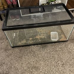 50 Gallon Tank With Reptile Supplies