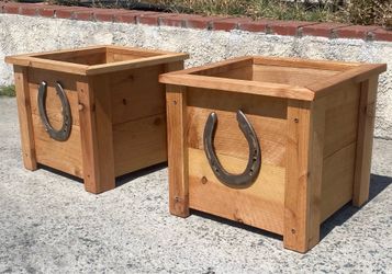 Lucky horse shoe Plamters