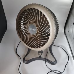 Blizzard Oscillating Fan