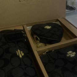 𝐁𝐥𝐚𝐜𝐤 𝐂𝐨𝐚𝐜𝐡 𝐬𝐞𝐭