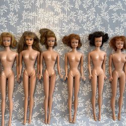 Vintage Barbie Dolls
