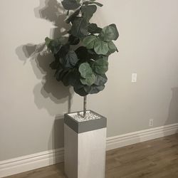 Fake Fiddle Plant With Planter 