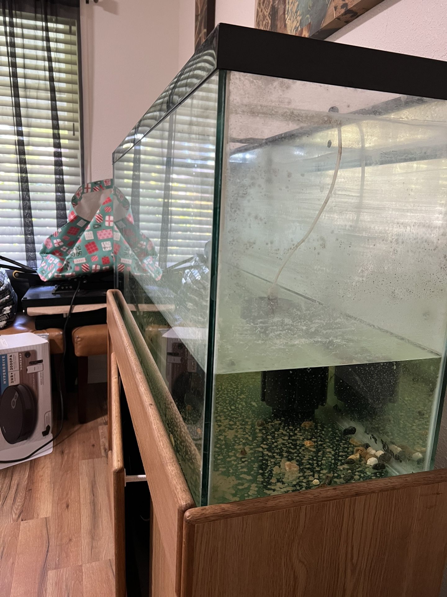 Fish Tank 