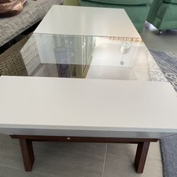Mid-century Modern Design Coffee Table