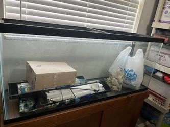 50 Gallon Fish Tank W/ Stand And Equipment 
