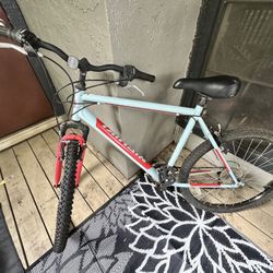 Nishiki Pueblo Large Men’s Bike With reflector 