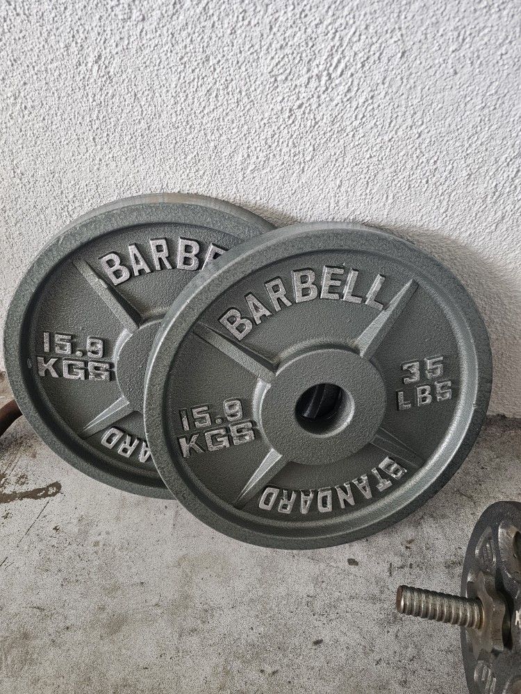 2- 35lb Cast Iron Weight Plates