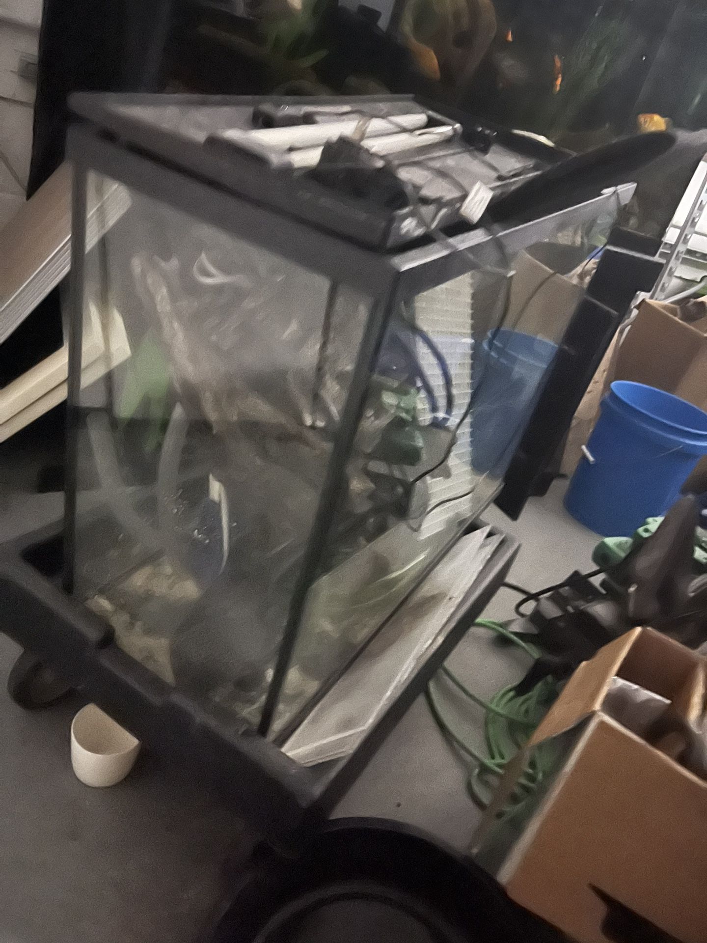 29 Gallon Tall 