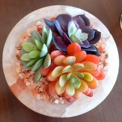 100% Himalayan Salt Abundance Bowl With Himalayan Crystals & Faux Succulents