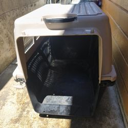 Dog House Medium