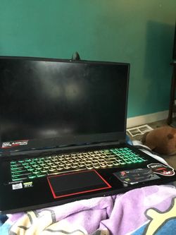 MSI GE75 Raider 10SFS Gaming Laptop