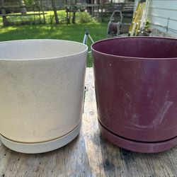 Flower Pot