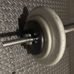 NEW Standard Steel Curl Bar with Cast Iron Weight Plates Gently Used pairs: 24#, 10 & 5 #. Total: 96 pounds