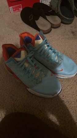 Lebrons basketball shoes size 9.5