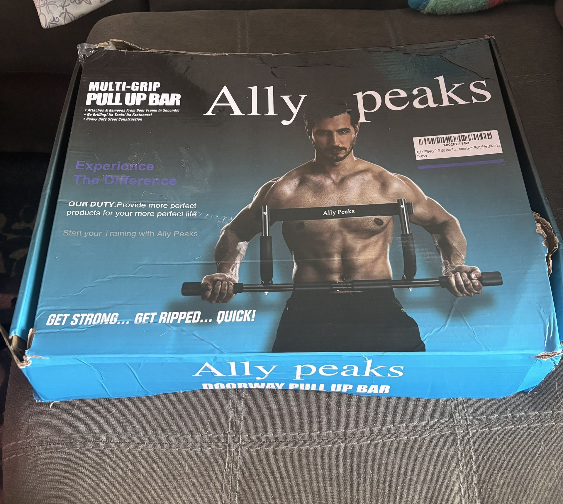 Ally Peaks Pull Up Bar