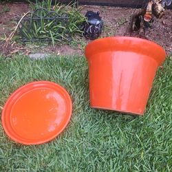 Expensive Big Cermic Pot Plants  2 Piece