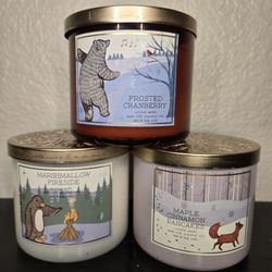 Htf Winter Candles Bath And Body Works
