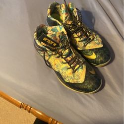 Size 11 Nike X Lebron 2013