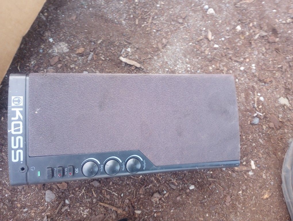 Speaker