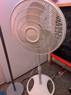 Fan