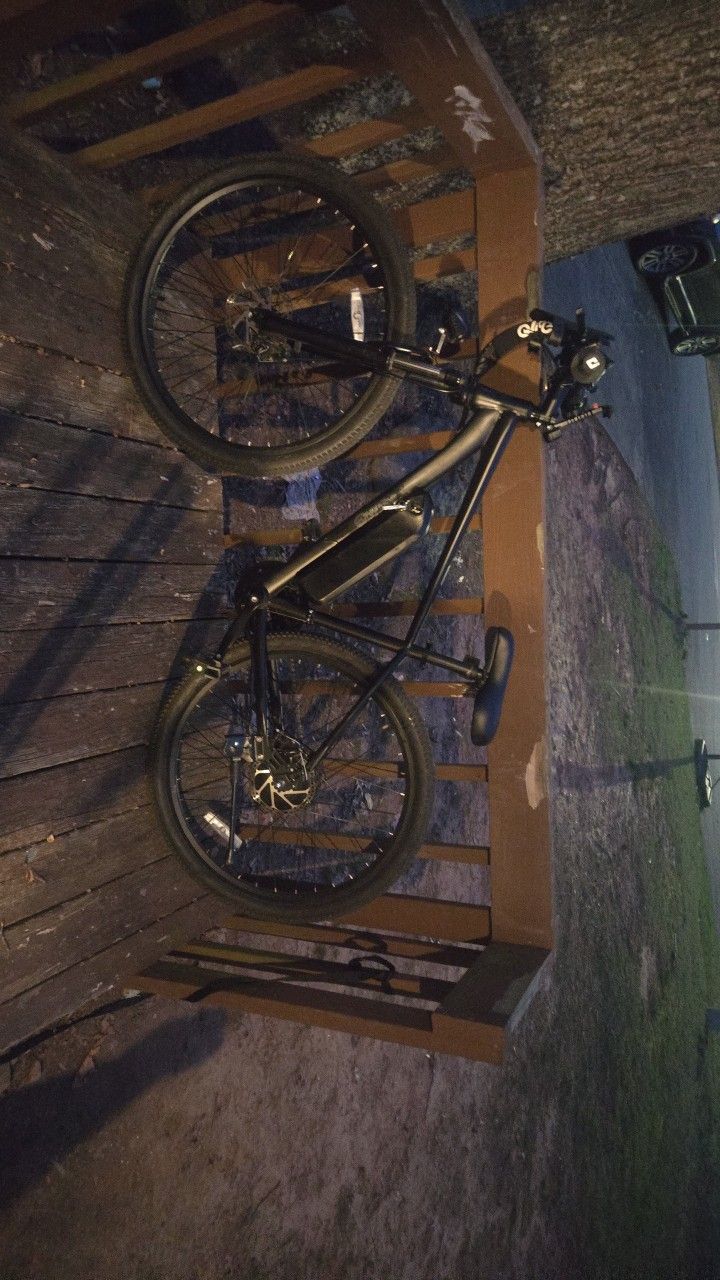 Qlife Racer
