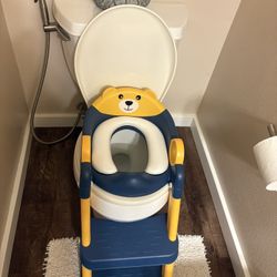 Potty Training Seat 