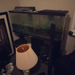2 Fish Tanks