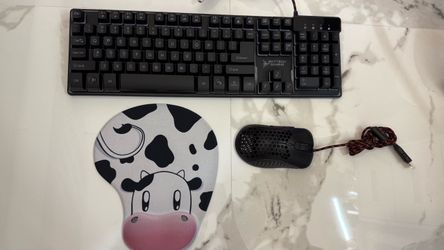Gaming Keyboard + Mouse