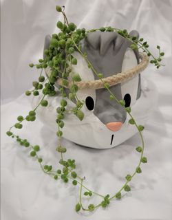Vtg 1997 Bugs Bunny 6" Carry-All Candy Bucket Applause Flower Pot 4" Cachepot