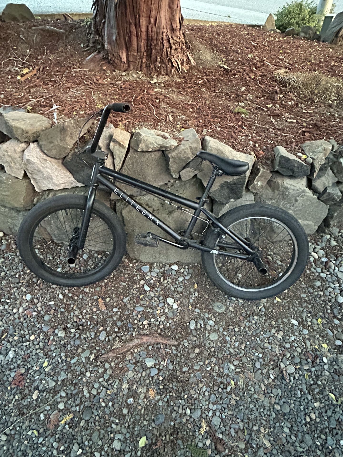 Elite BMX Stealth 20 inch bike