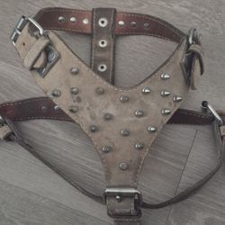 Dog Collar