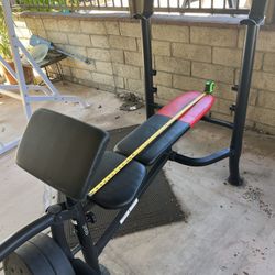 Weight Bench And Weights 