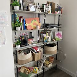 Steel Ladder Bookcase