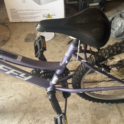Bicicleta Montaña