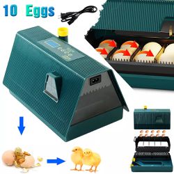 Brand New Automatic Egg Incubator with Light, Fully Automatic Egg Hatching Machine for 10 Chicken Eggs (US Plug 95‑125V)