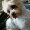 Miss Sally