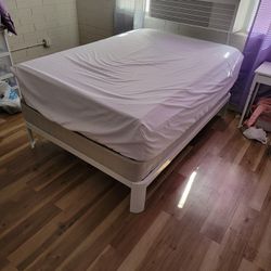 White Modway Corinne Bed Frame (Full/Double) + Mattress + Mattress Board