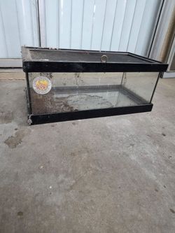 Reptile tank
