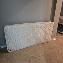 Twin size mattress FREE!