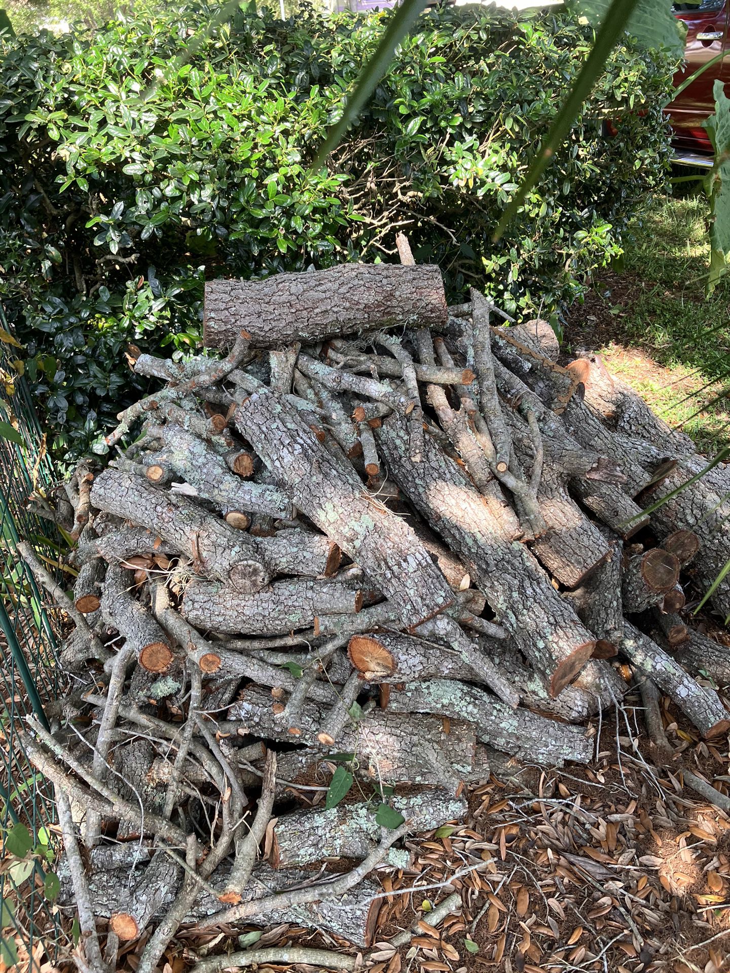Free Oak Firewood 
