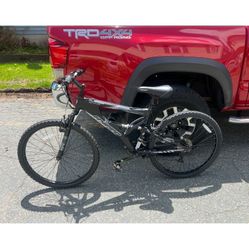 Adult Bike