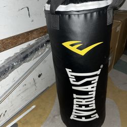 Everlast Punching Bag 