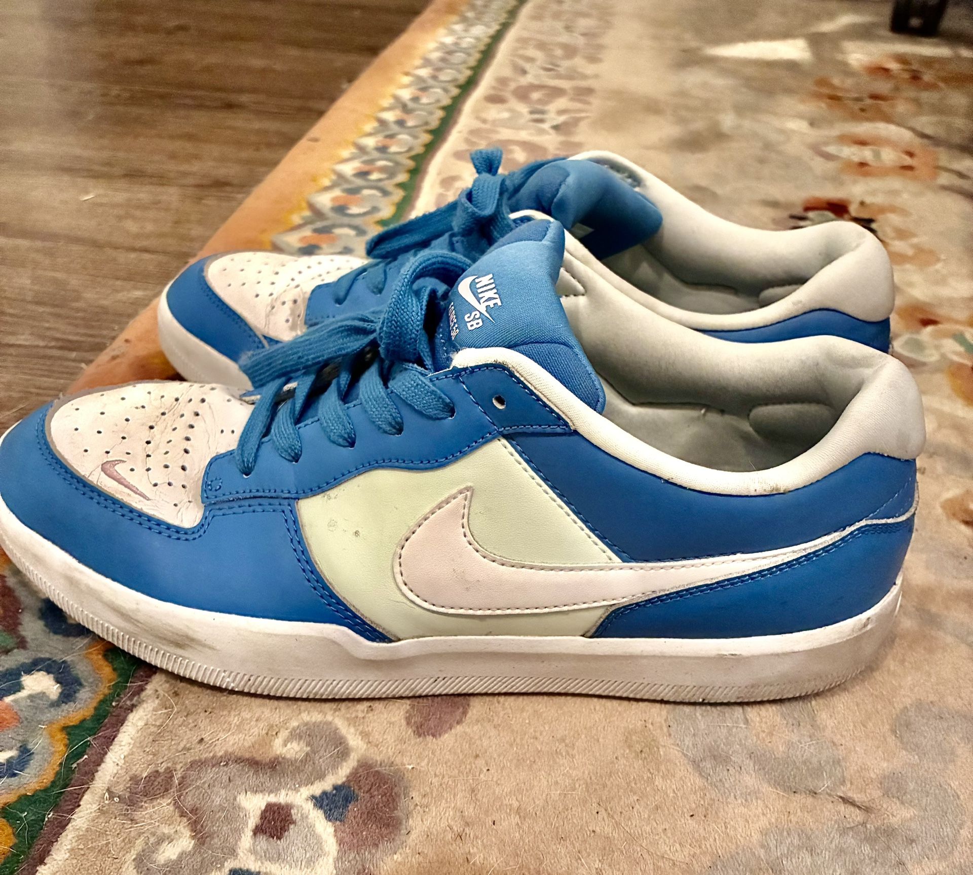 Nike SB Force 58 Shoes