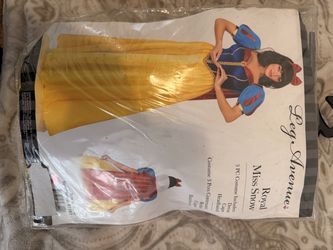 Snow White Costume Adult