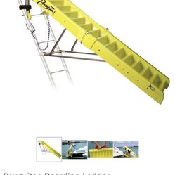 Boat ladder for dog
