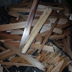 Bundles The Size Of Five Gal Bucket Of Nothing But Superior Bone Dry Cedar Kindling 