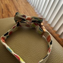 dog collar