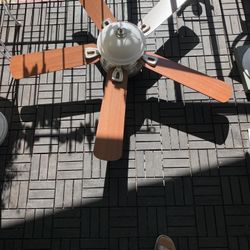 Ceiling Fan 