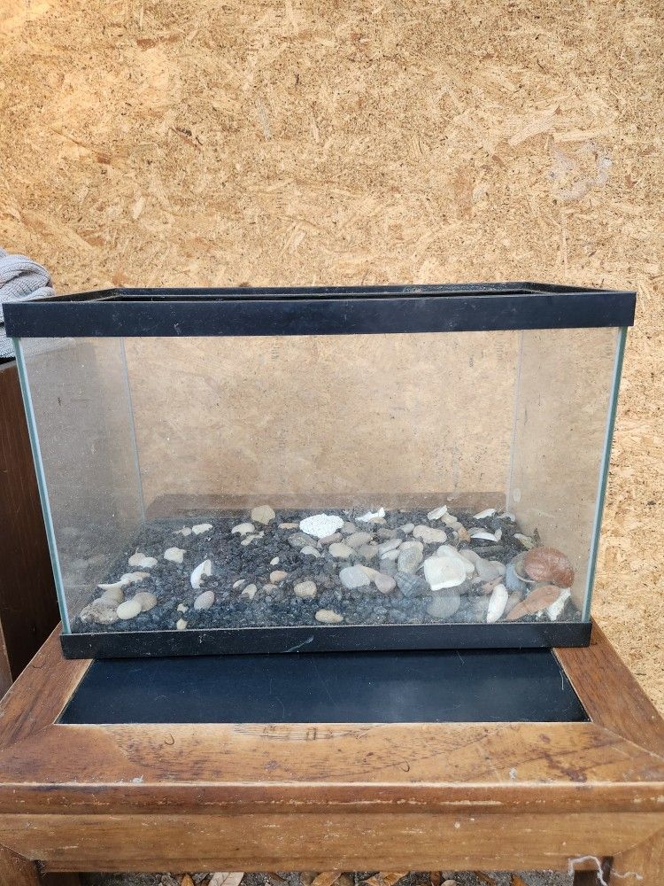 3 Gallon Fish Tank