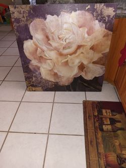 Large Picture